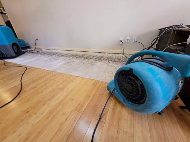 Professional Water Removal technician working in Leakey, TX